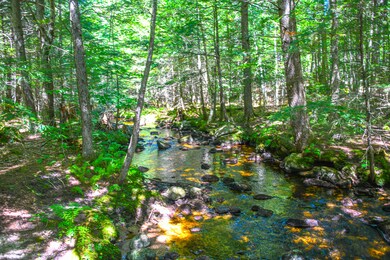 193 N Bridgton Rd, Bridgton, ME 04009 - photo 5