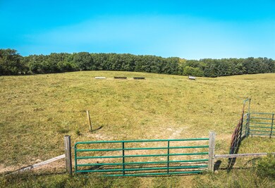 DJI_20240908110358_0001_D