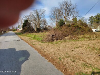 0 4th St unit 100491690, Aurora, NC 27806 - photo 2