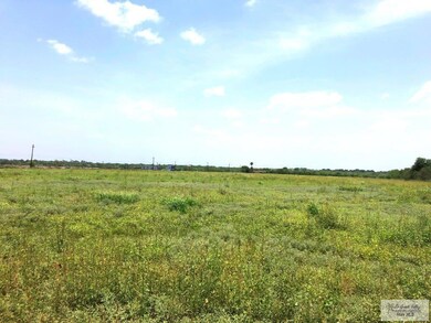 19 AC S Fm 493, Donna, TX 78537 - photo 3