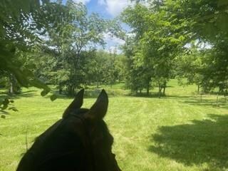 34307 E Drinkwater Rd, Lone Jack, MO 64070 - photo 6