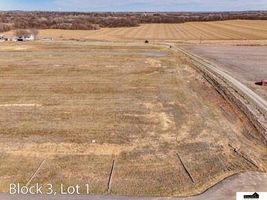 19500 S 54th St unit B3 - L1, Hickman, NE 68372 - photo 6