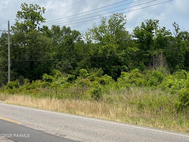 IMG_3557