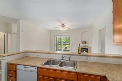 Kitchen Sink & Dishwasher