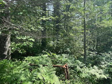 36114 W Ridge Rd, Paradise, MI 49768 - photo 7