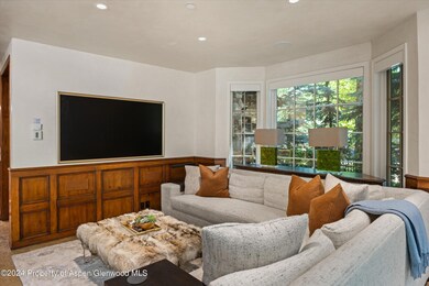 303 W Hopkins Ave, Aspen, CO 81611 - photo 7