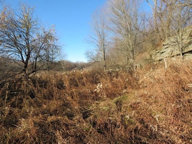 30269 Co Rte 22, Theresa, NY 13691 - photo 4