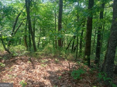 Lt 1227 Hilton Dr unit 1227, Ranger, GA 30734 - photo 5