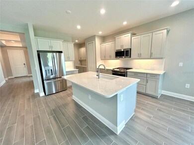 2564 Star Apple Way, Sarasota, FL 34240 - photo 4