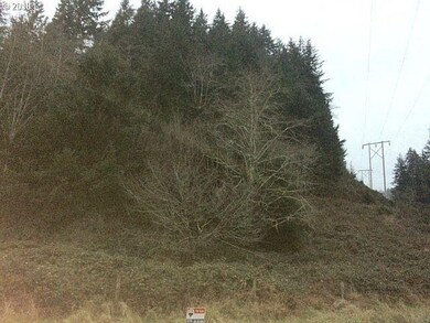 0 Miami Foley Rd unit 18295258, Nehalem, OR 97131 - photo 5