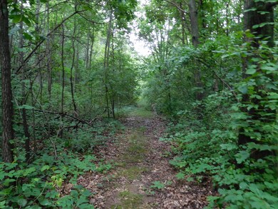 DSCN1482_2591