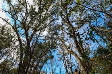 2200 Wyndham Way, Bainbridge, GA 39819 - photo 7