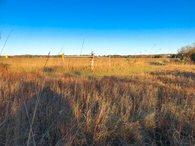 Main House Farm meadow view