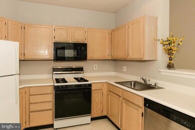 14322 Climbing Rose Way unit 304, Centreville, VA 20121 - photo 5