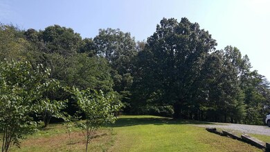 Summer Front Side Yard