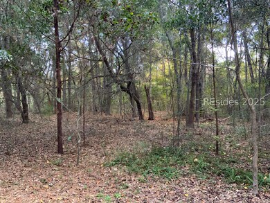TBD Pearl Harbor Dr, Saint Helena Island, SC 29920 - photo 2