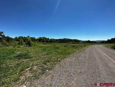 This is the view to the west of the property from 