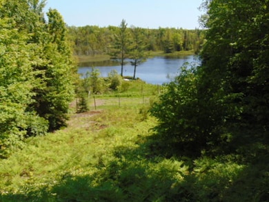 Pond