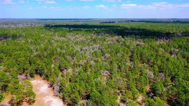 7137 W Sunmar Sample Ln, Dunnellon, FL 34433 - photo 3