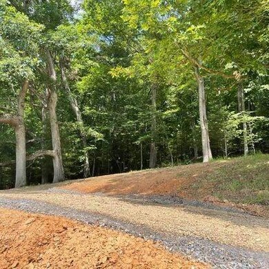 0000 Phipps Creek Rd, Burnsville, NC 28714 - photo 6