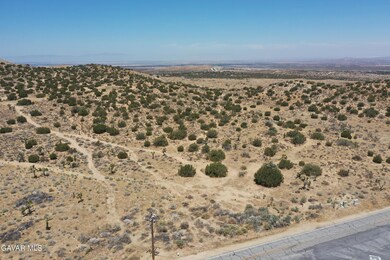 DJI_0955