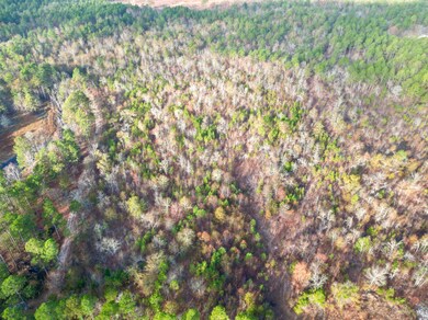 3391 Davis Bridge Rd, Williston, SC 29853 - photo 4