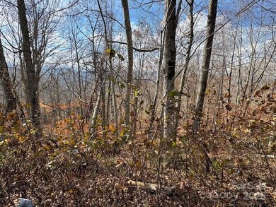 50 Scenic Wolf Ridge Rd, Mars Hill, NC 28754 - photo 2