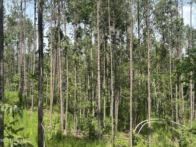 0 Bonds Rd, Roxie, MS 39661 - photo 7