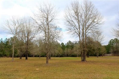 2042 White Buck Ct, Cleveland, TX 77328 - photo 4