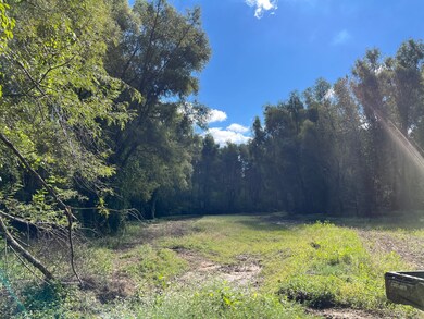 0 Cavass Rd, Woodville, MS 39669 - photo 5