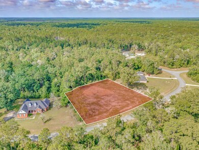 XX Sellars, Crawfordville, FL 32327 - photo 5