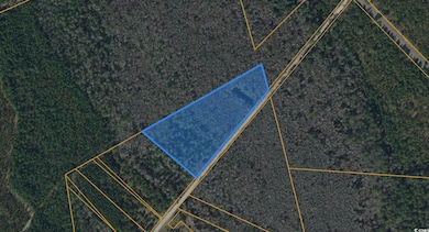 TBD Wolf Pit Bay Rd, Nichols, SC 29581 - photo 6