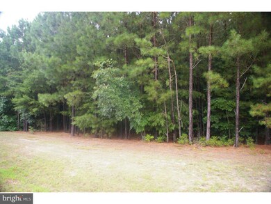 24610 Hollytree Cir, Georgetown, DE 19947 - photo 2