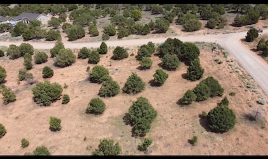 2604 W Maple Canyon Ln, Parowan, UT 84761 - photo 5