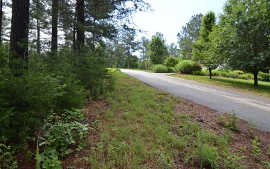 LOT 50 Pinehurst Rd, Blairsville, GA 30512 - photo 6
