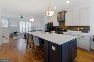 22510 Phillips St unit 506, Clarksburg, MD 20871 - photo 3