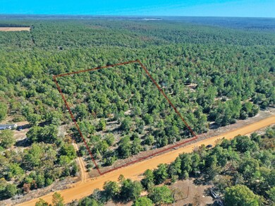 0 Patch Rd unit 990115, Defuniak Springs, FL 32433 - photo 7