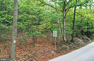 Lot 100 McCubbins Hollow Rd, Gerrardstown, WV 25420 - photo 3
