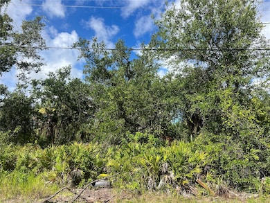 163 Hardee Way, Rotonda West, FL 33947 - photo 2