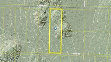 Tr6 Tomski, Anchor Point, AK 99556 - photo 3