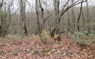 Additional View