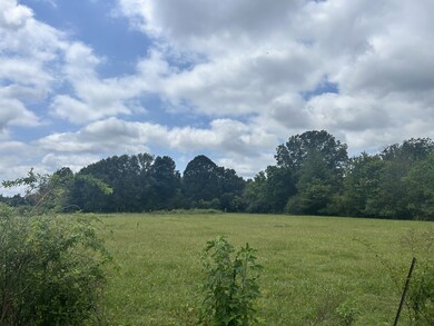 67 James Rd, Ethridge, TN 38456 - photo 5