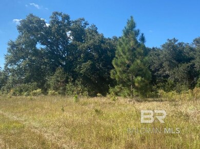 0 Hampton Rd unit 31 376099, Mobile, AL 36608 - photo 2