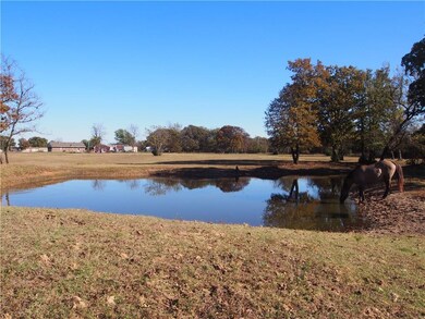 Spring-fed pond