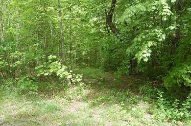 7 Bear Wallow Rd. - 1246393 002