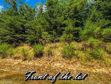 1228 Healing Springs Dr, Denton, NC 27239 - photo 7