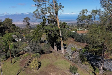 1575 Kamehameiki Rd unit 1, Kula, HI 96790 - photo 5