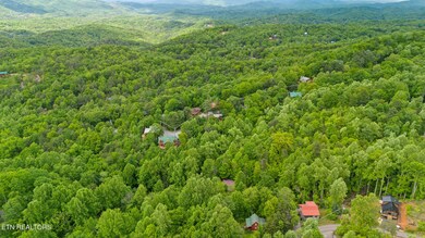 dji_20250505144547_0884_d