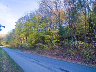 25ac Brotherton Mtn Rd, Cookeville, TN 38506 - photo 7