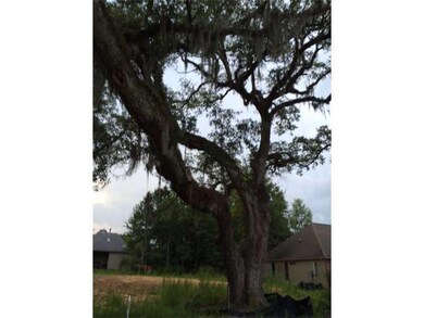 Photo. Left side of lot- 3rd. oak